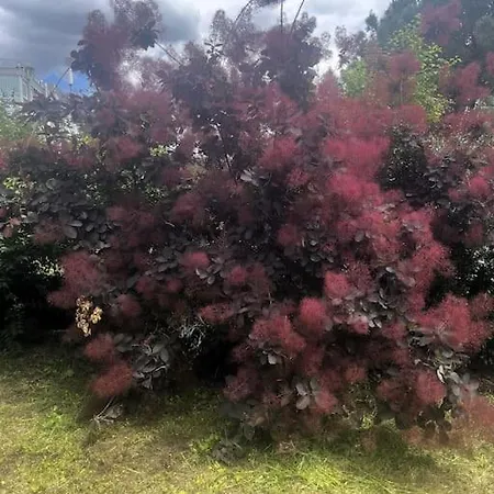 Apartman L'elegance Urbaine-clim-parking Gratuit Dans Rue