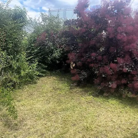 Lejlighed L'elegance Urbaine-clim-parking Gratuit Dans Rue *