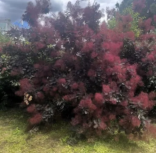 公寓 L'elegance Urbaine-clim-parking Gratuit Dans Rue